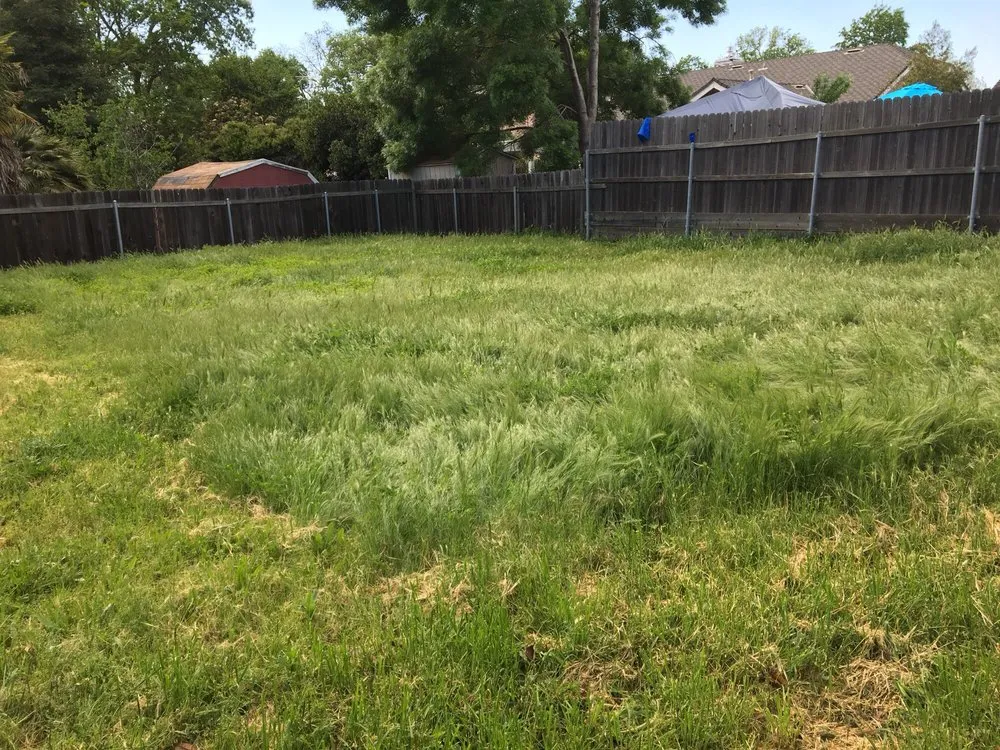 Custom yard maintenance in Citrus Heights, CA - Rob's Leaf Raking & Lawn Service