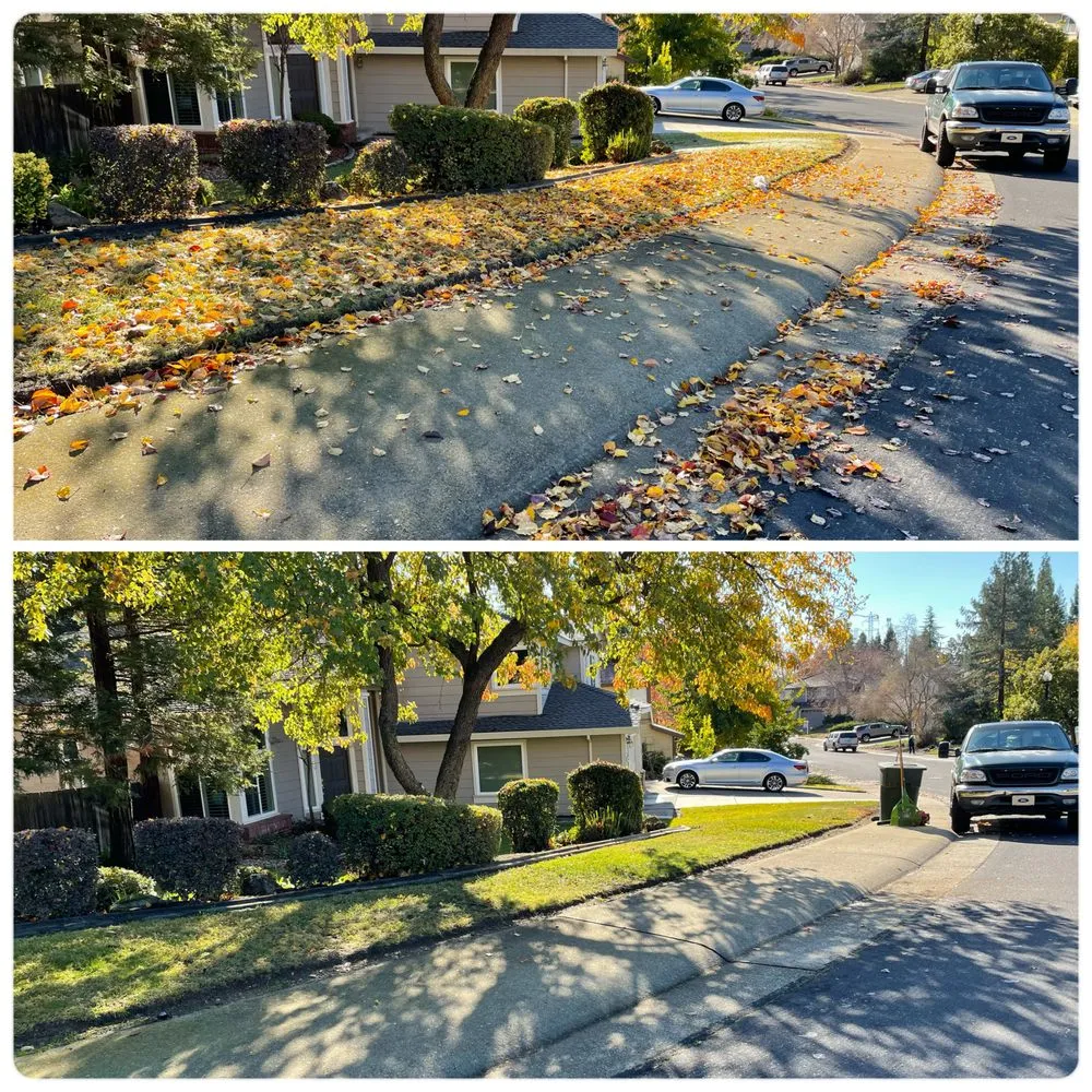 Local landscape installation for outdoor upgrades across Citrus Heights, CA - Rob's Leaf Raking & Lawn Service