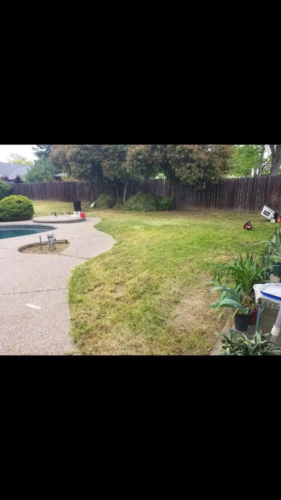Custom garden landscaping in Citrus Heights, CA - Rob's Leaf Raking & Lawn Service