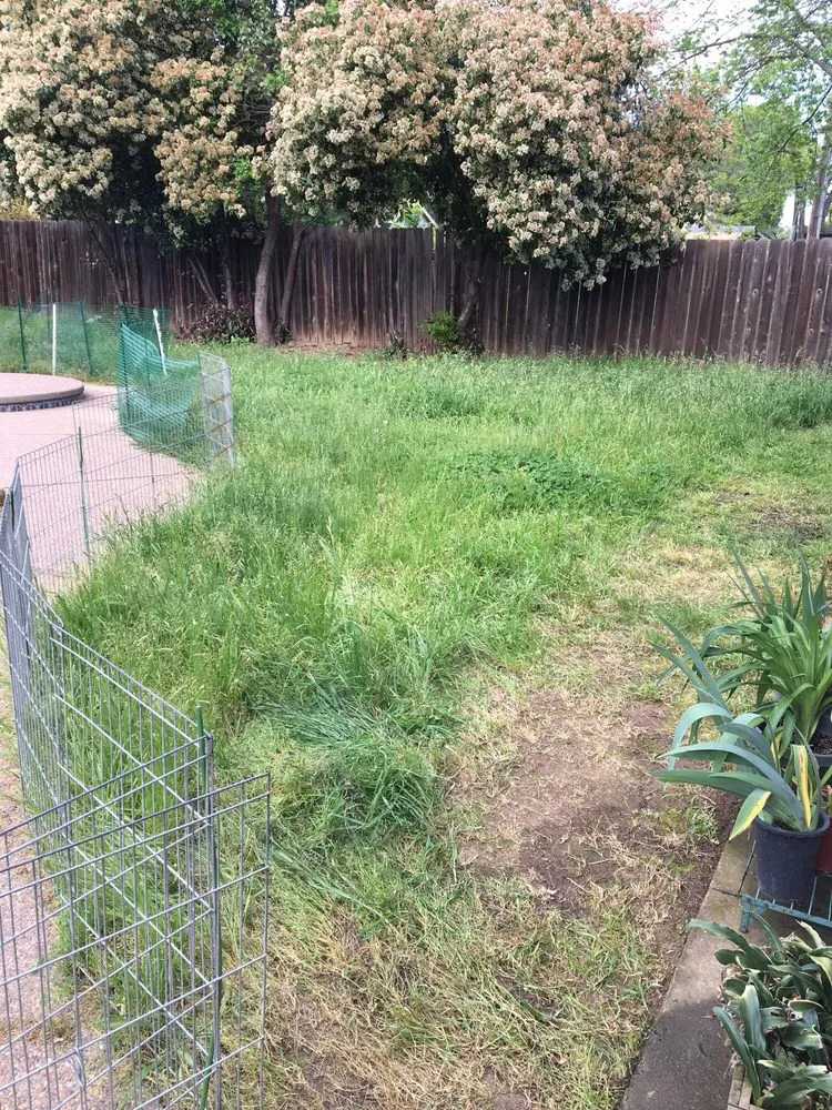 Custom landscaping services in Citrus Heights, CA by Rob's Leaf Raking & Lawn Service