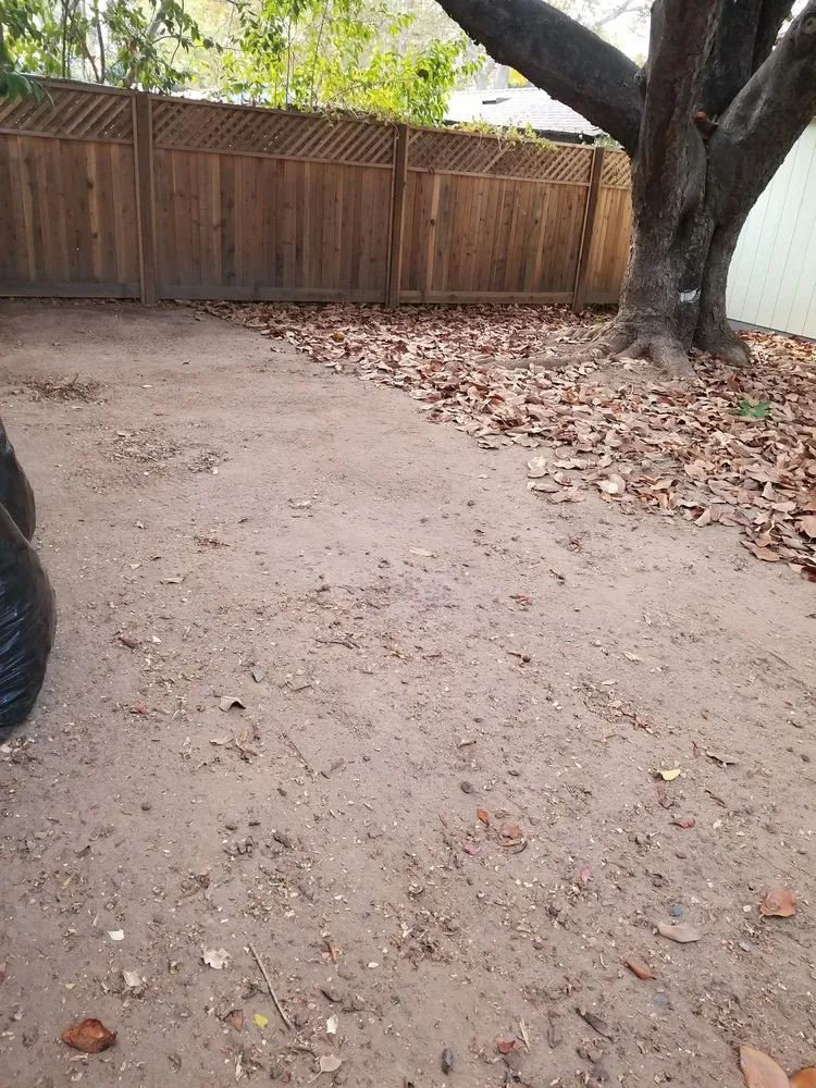 Reliable lawn mowing service in Citrus Heights, CA by Rob's Leaf Raking & Lawn Service