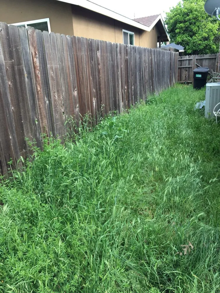 Affordable garden landscaping in Citrus Heights, CA - Rob's Leaf Raking & Lawn Service