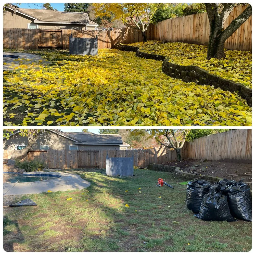 Top-rated landscaping services for year-round maintenance across Citrus Heights, CA - Rob's Leaf Raking & Lawn Service