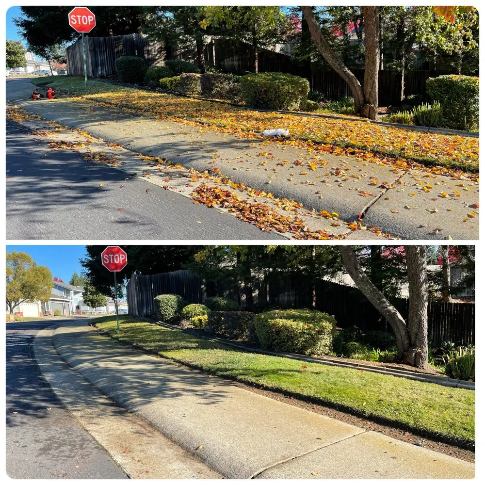 Expert outdoor landscaping experts serving Citrus Heights, CA - Rob's Leaf Raking & Lawn Service