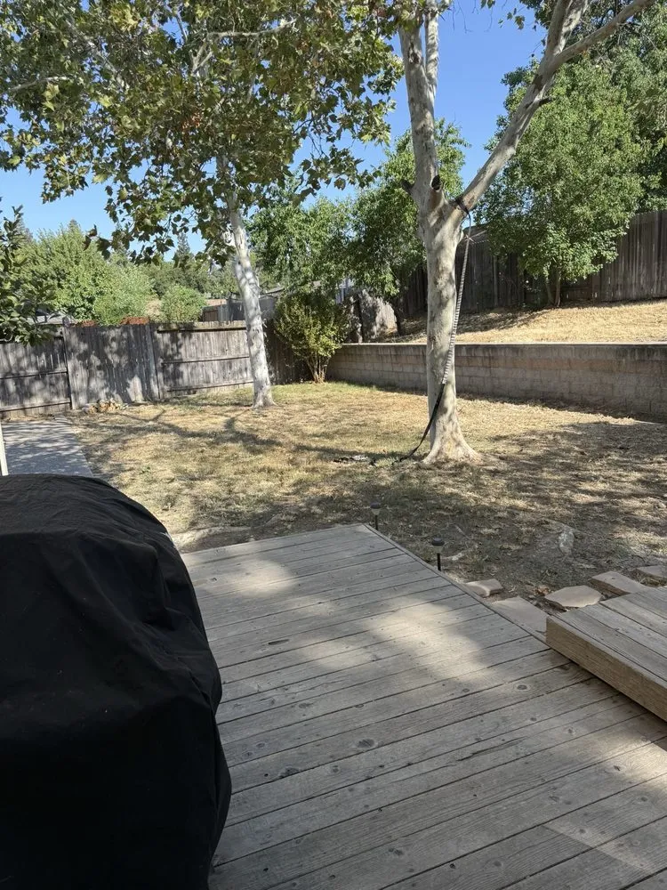 Local landscape design in Citrus Heights, CA by Rob's Leaf Raking & Lawn Service