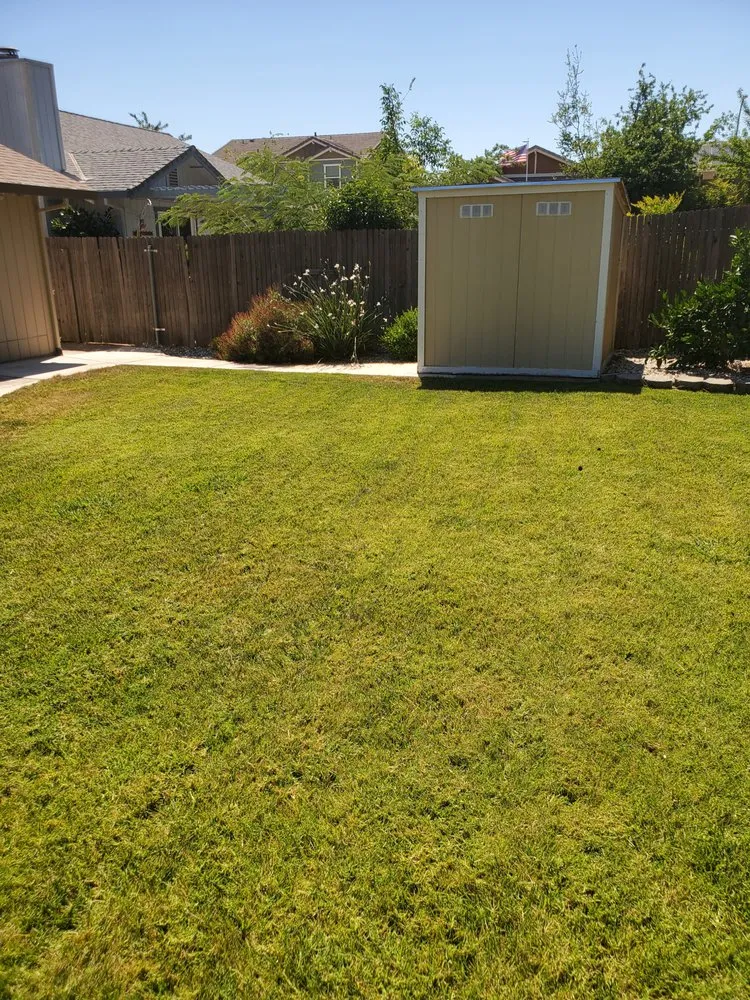 Professional lawn mowing service near you in Citrus Heights, CA by Rob's Leaf Raking & Lawn Service