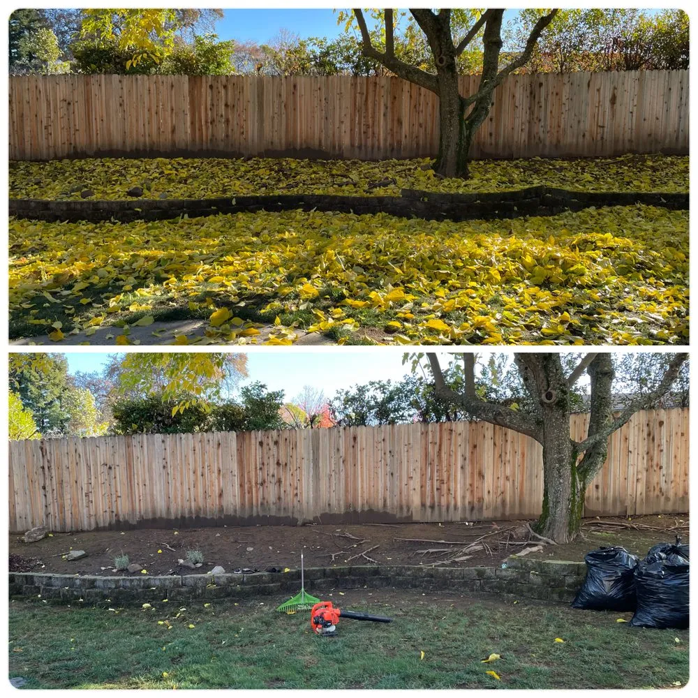 Expert yard maintenance for year-round maintenance in Citrus Heights, CA by Rob's Leaf Raking & Lawn Service