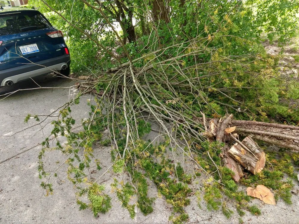 Local landscaping services for homes across Ann Arbor, MI - Rob's Mowing and Landscaping