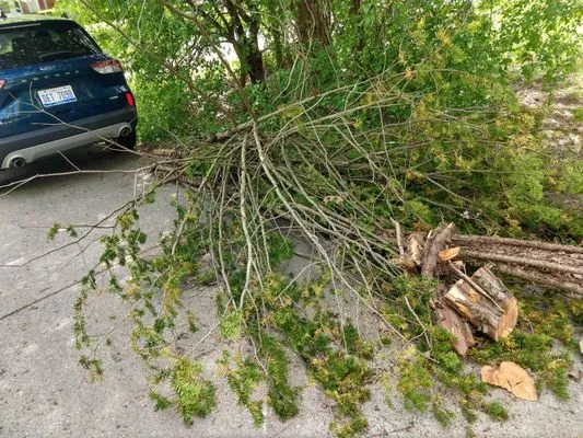 Rob's Mowing and Landscaping Logo