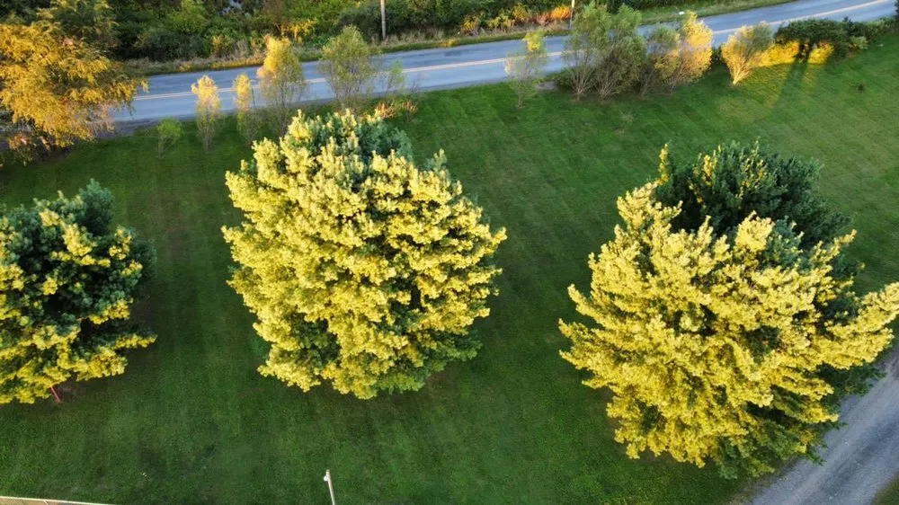 Trusted residential landscaping in Stroudsburg, PA by Robs Mulch N Stone