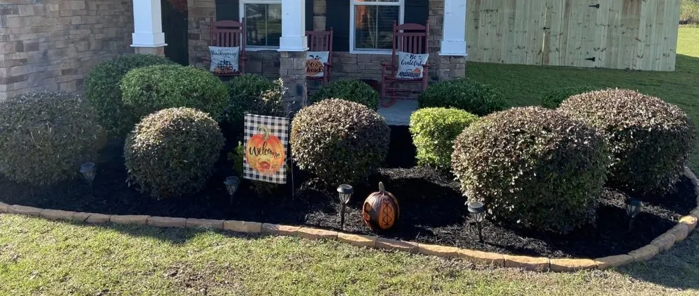 Affordable yard cleanup service for beautiful yards in Ellabell, GA by Rob’s Property Maintenance