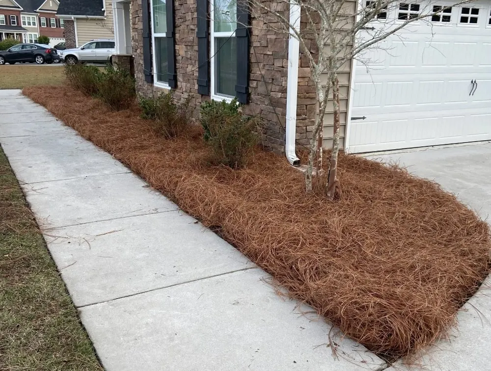 Professional landscape installation experts serving Ellabell, GA - Rob’s Property Maintenance
