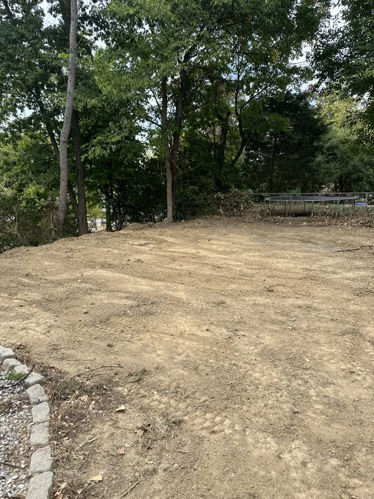 Professional yard cleanup service experts serving Dry Run, OH - Robs Renovations