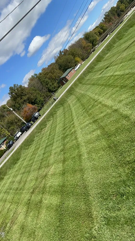 Professional yard cleanup service for beautiful yards across Louisville, KY - Rob's Services