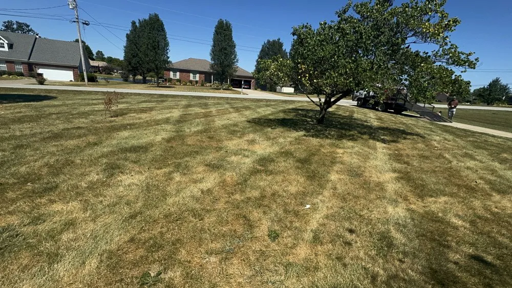 Professional yard cleanup service in Louisville, KY by Rob's Services
