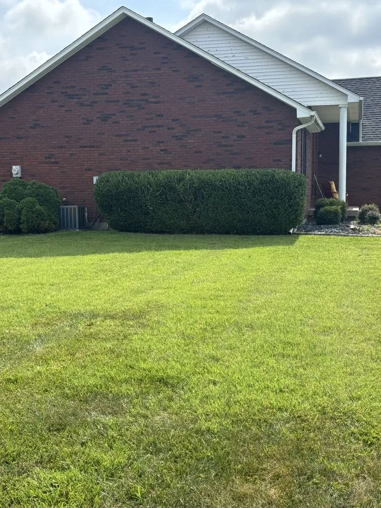 Expert lawn mowing service in Louisville, KY - Rob's Services