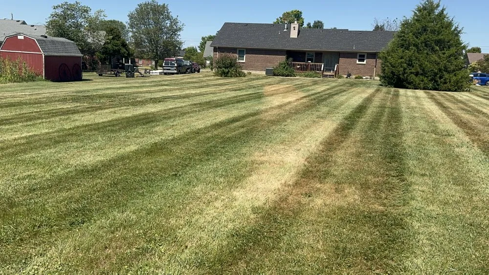 Expert yard cleanup service experts serving Louisville, KY - Rob's Services