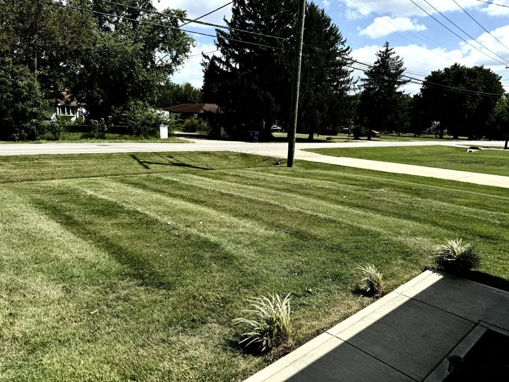 Reliable lawn mowing service near you in Louisville, KY by Rob's Services