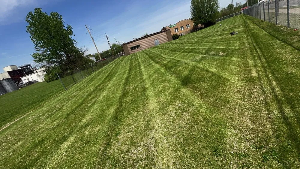 Trusted lawn care service for residential properties in Louisville, KY by Rob's Services