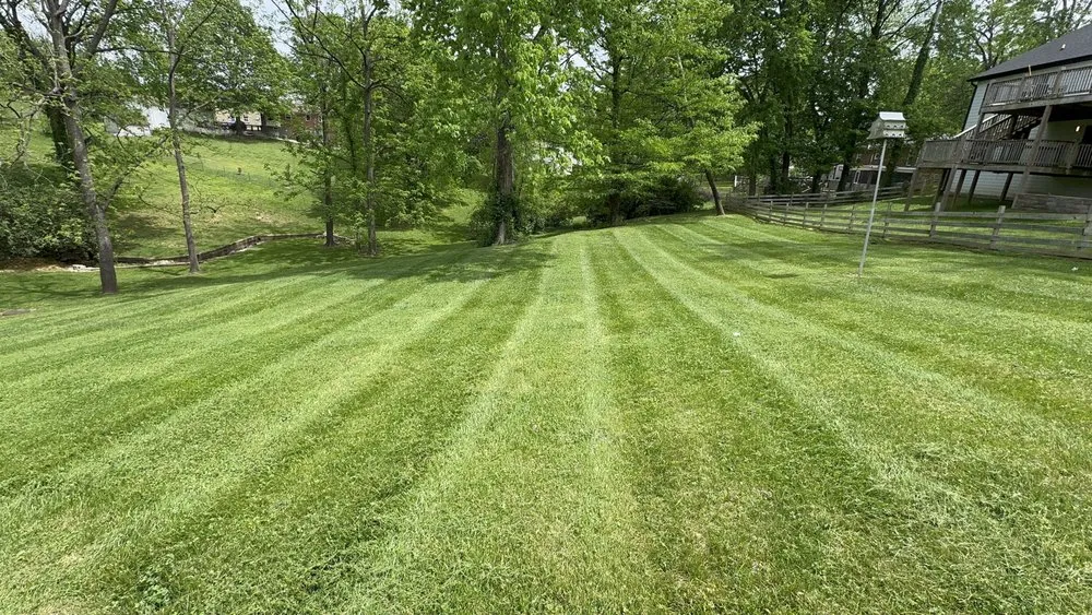 Custom landscaping services experts serving Louisville, KY - Rob's Services