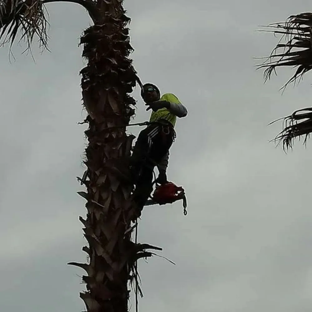 Custom garden landscaping for outdoor upgrades across Richmond, TX - Rob's Tree Service And Landscape Design