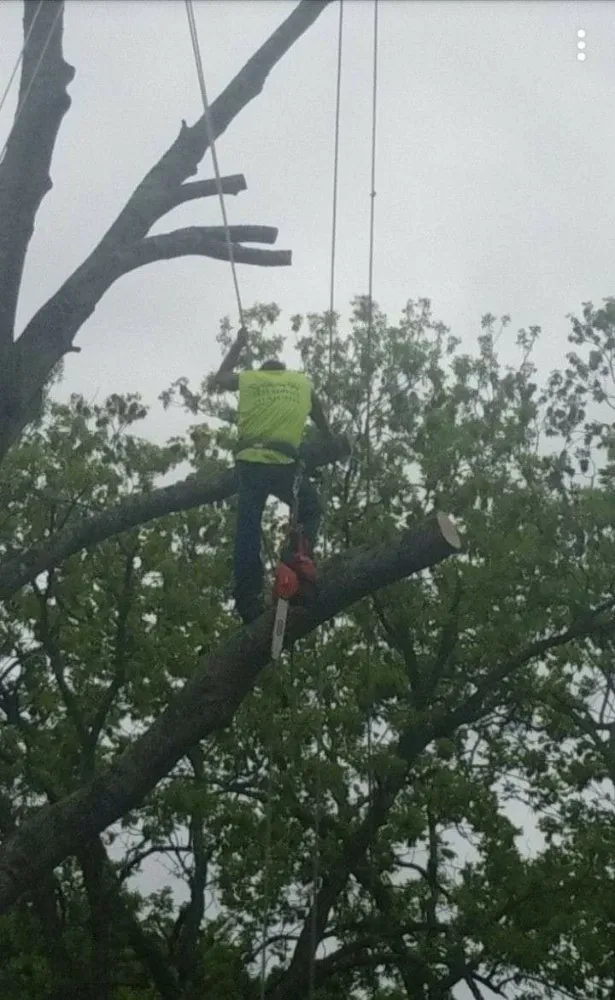 Affordable garden landscaping in Richmond, TX - Rob's Tree Service And Landscape Design