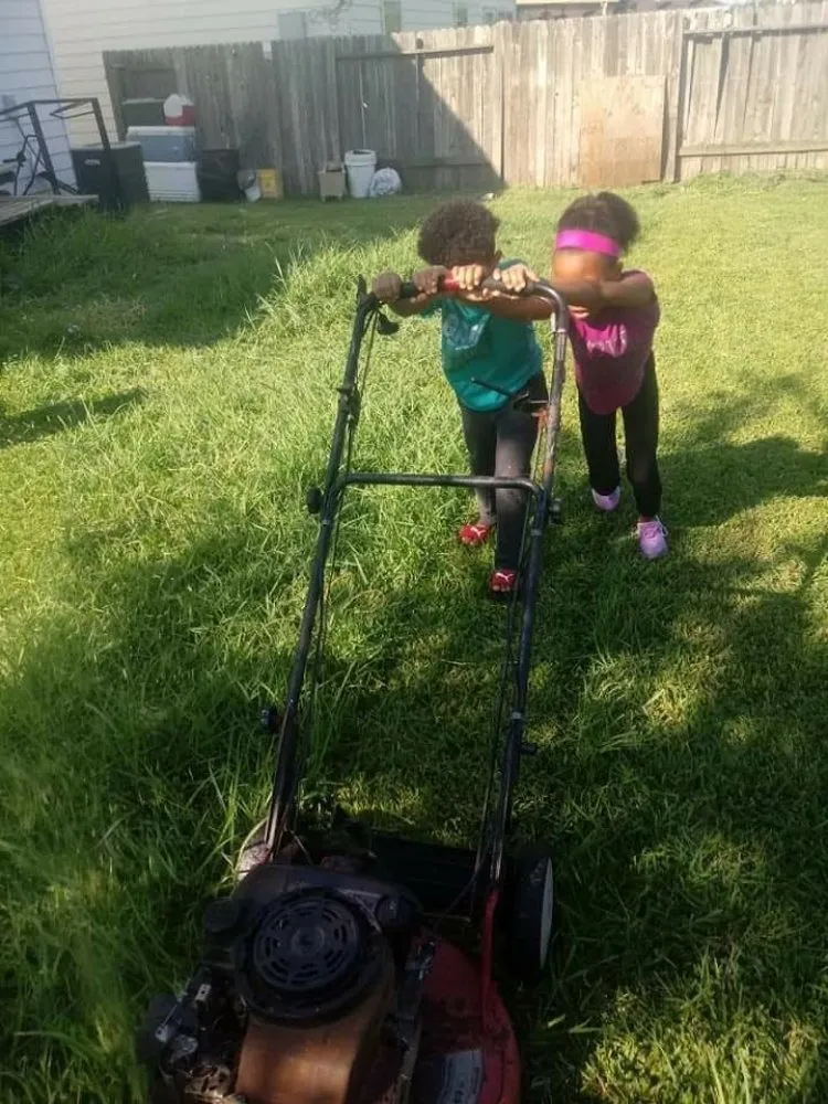 Professional landscape installation in Richmond, TX by Rob's Tree Service And Landscape Design