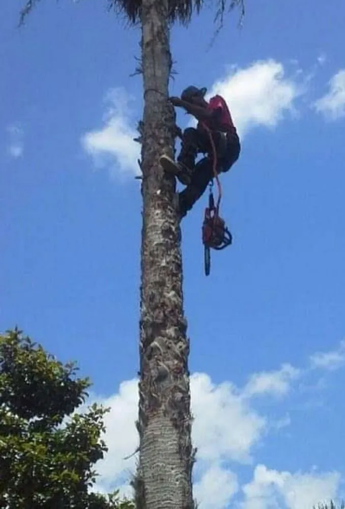 Expert garden landscaping with custom design across Richmond, TX - Rob's Tree Service And Landscape Design