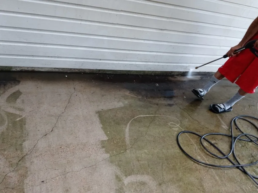 Top-rated yard cleanup service experts serving Richmond, TX - Rob's Tree Service And Landscape Design