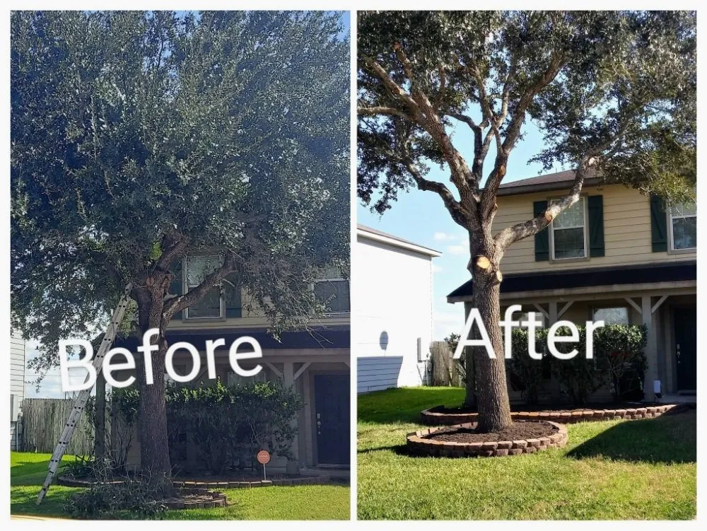 Custom landscape design in Richmond, TX by Rob's Tree Service And Landscape Design