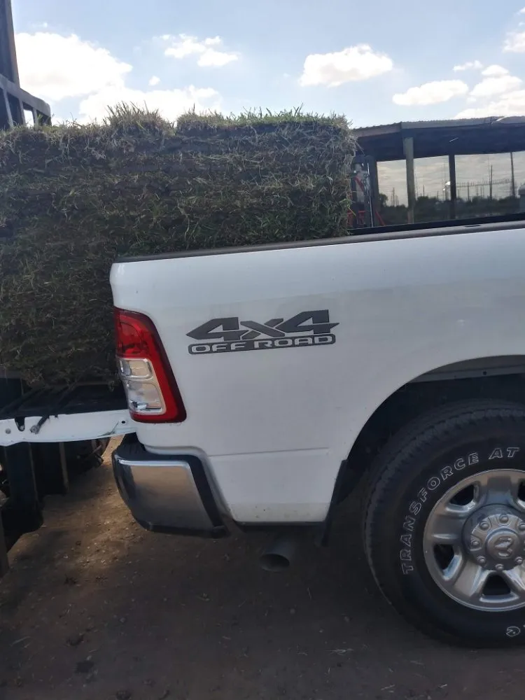 Reliable yard cleanup service experts serving Rosenberg, TX - Rob's Tree Service And Landscape Design
