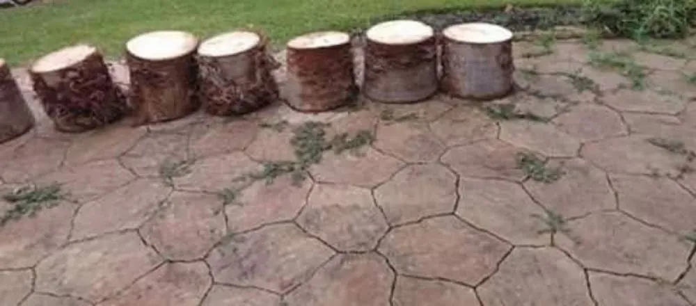 Professional yard cleanup service for outdoor upgrades in Rosenberg, TX by Rob's Tree Service And Landscape Design