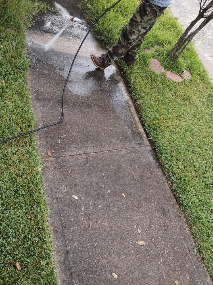 Top-rated lawn care service in Rosenberg, TX - Rob's Tree Service And Landscape Design