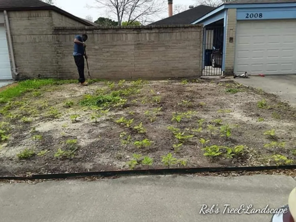 Top-rated landscape installation for beautiful yards in Rosenberg, TX by Rob's Tree Service And Landscape Design