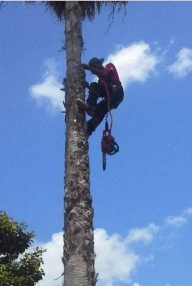 Affordable yard maintenance with custom design across Rosenberg, TX - Rob's Tree Service And Landscape Design