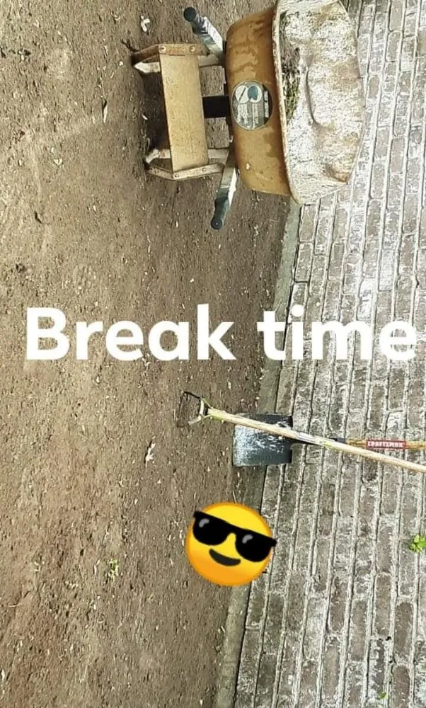 Local lawn mowing service in Rosenberg, TX by Rob's Tree Service And Landscape Design