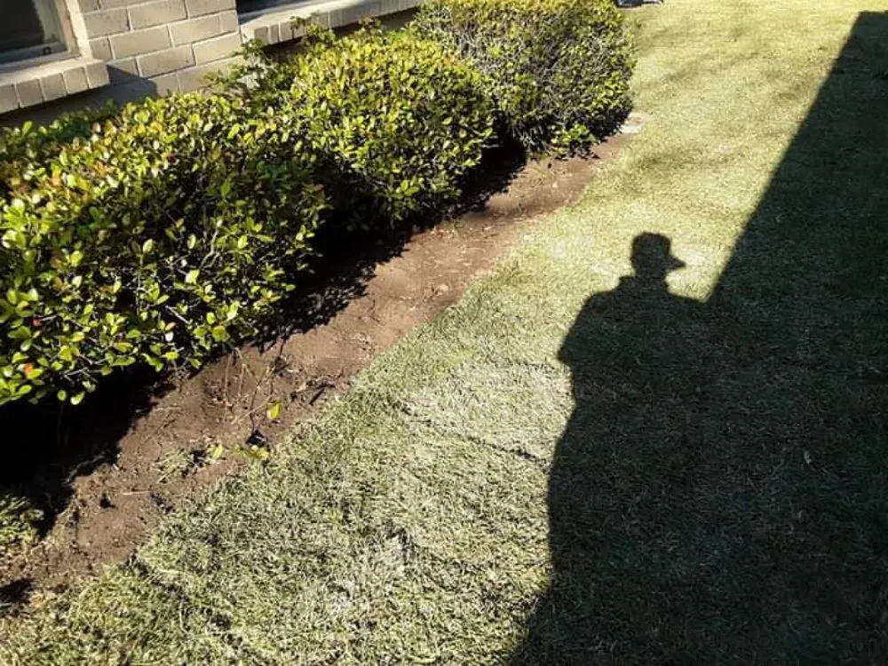 Reliable landscape design experts serving Rosenberg, TX - Rob's Tree Service And Landscape Design