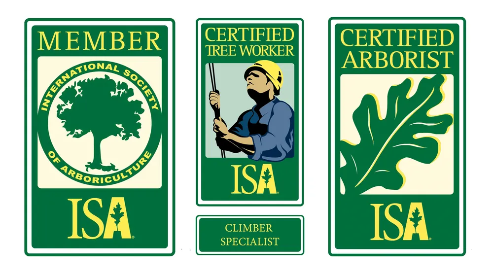 Expert yard cleanup service experts serving Scottsburg, IN - Rob's Tree Service