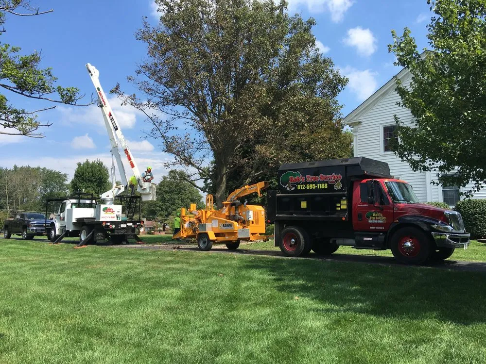 Affordable yard cleanup service near you across Scottsburg, IN - Rob's Tree Service