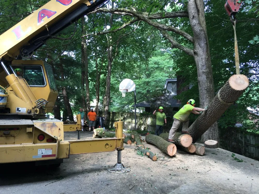 Expert lawn mowing service in Scottsburg, IN by Rob's Tree Service