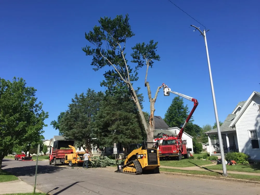 Trusted outdoor landscaping in Scottsburg, IN - Rob's Tree Service