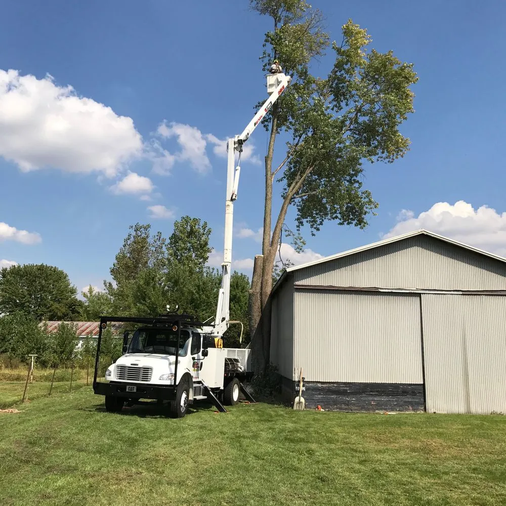 Local landscaping services for outdoor upgrades across Scottsburg, IN - Rob's Tree Service