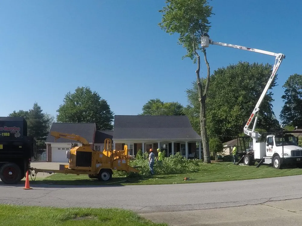 Expert landscape design for outdoor upgrades in Scottsburg, IN by Rob's Tree Service