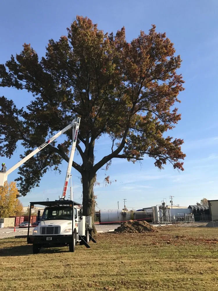 Top-rated residential landscaping with custom design across Scottsburg, IN - Rob's Tree Service