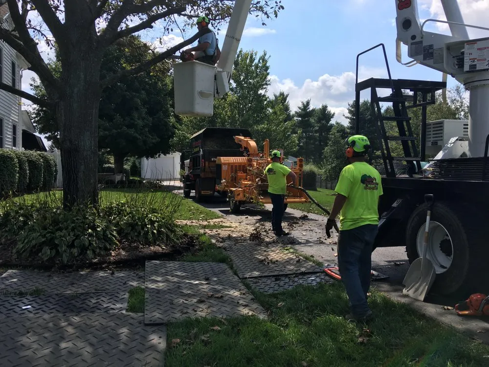 Top-rated landscape design in Scottsburg, IN by Rob's Tree Service