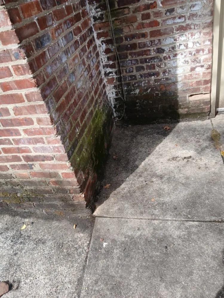 Top-rated landscaping services in Clifton, NJ by Robson Lawncare