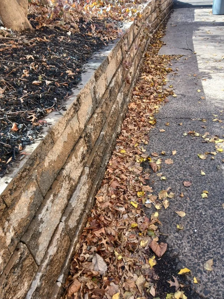 Reliable yard maintenance in Clifton, NJ by Robson Lawncare