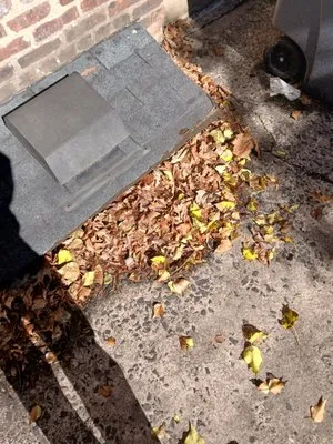 Robson Lawncare Logo