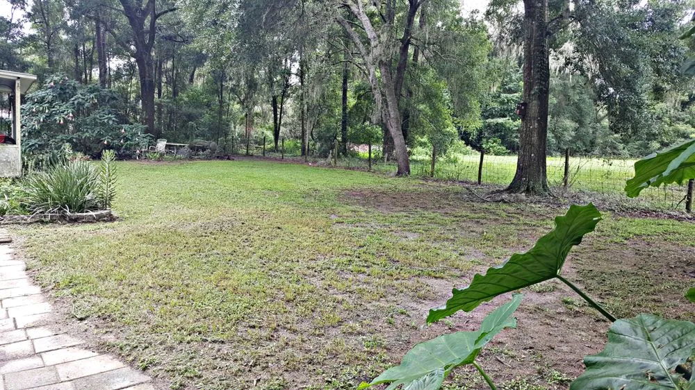Professional yard maintenance for homes across Brooksville, FL - Robvee's Property Maintenance