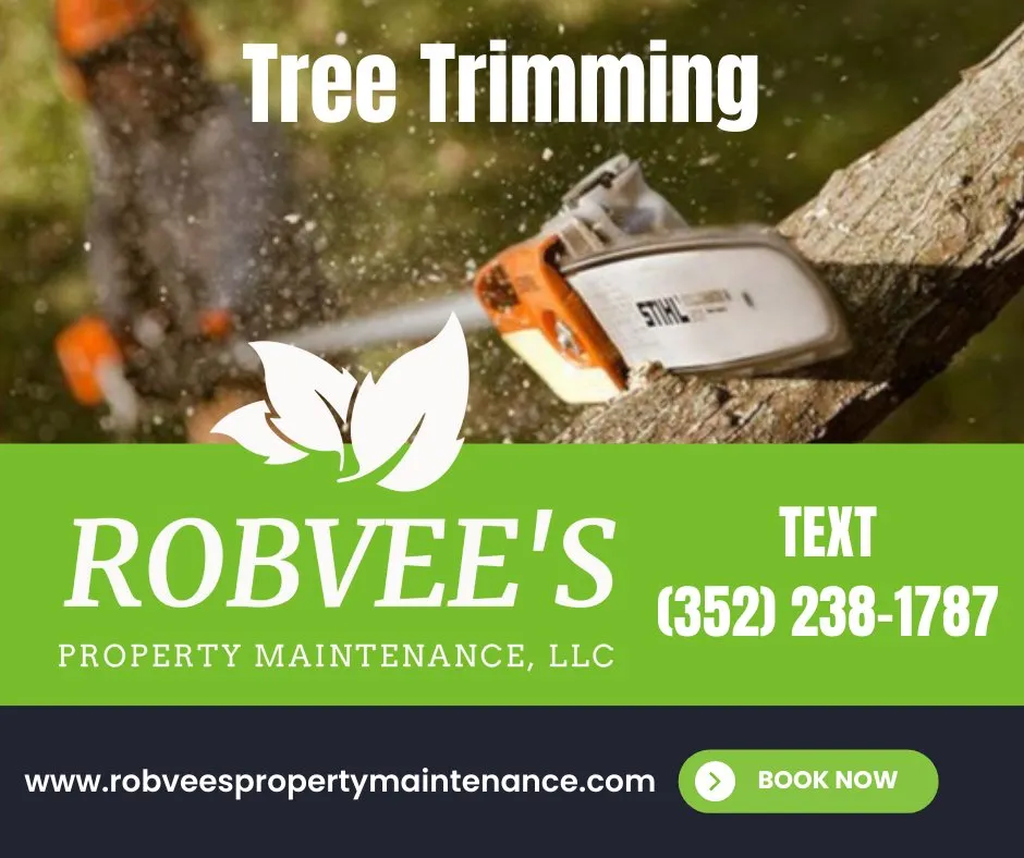 Reliable yard cleanup service near you in Brooksville, FL by Robvee's Property Maintenance